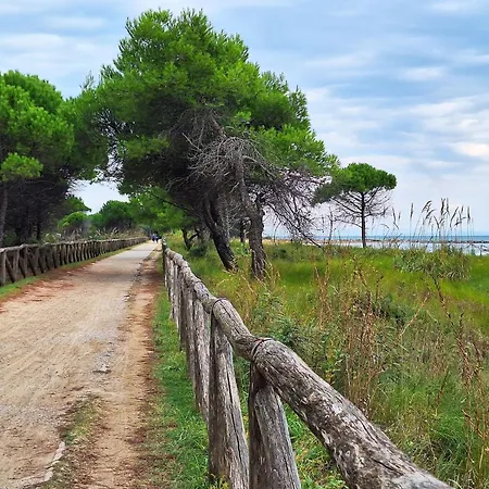 Cozy Flat Next To The Sea In - Beahost * Bibione